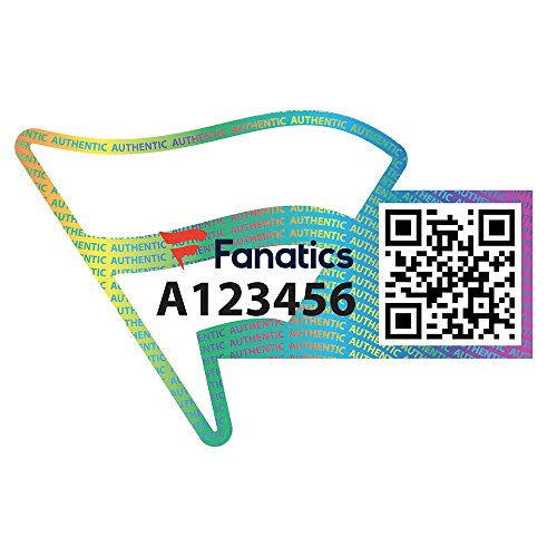 Green Bay Packers Golden Classic Team Logo Football Display Case