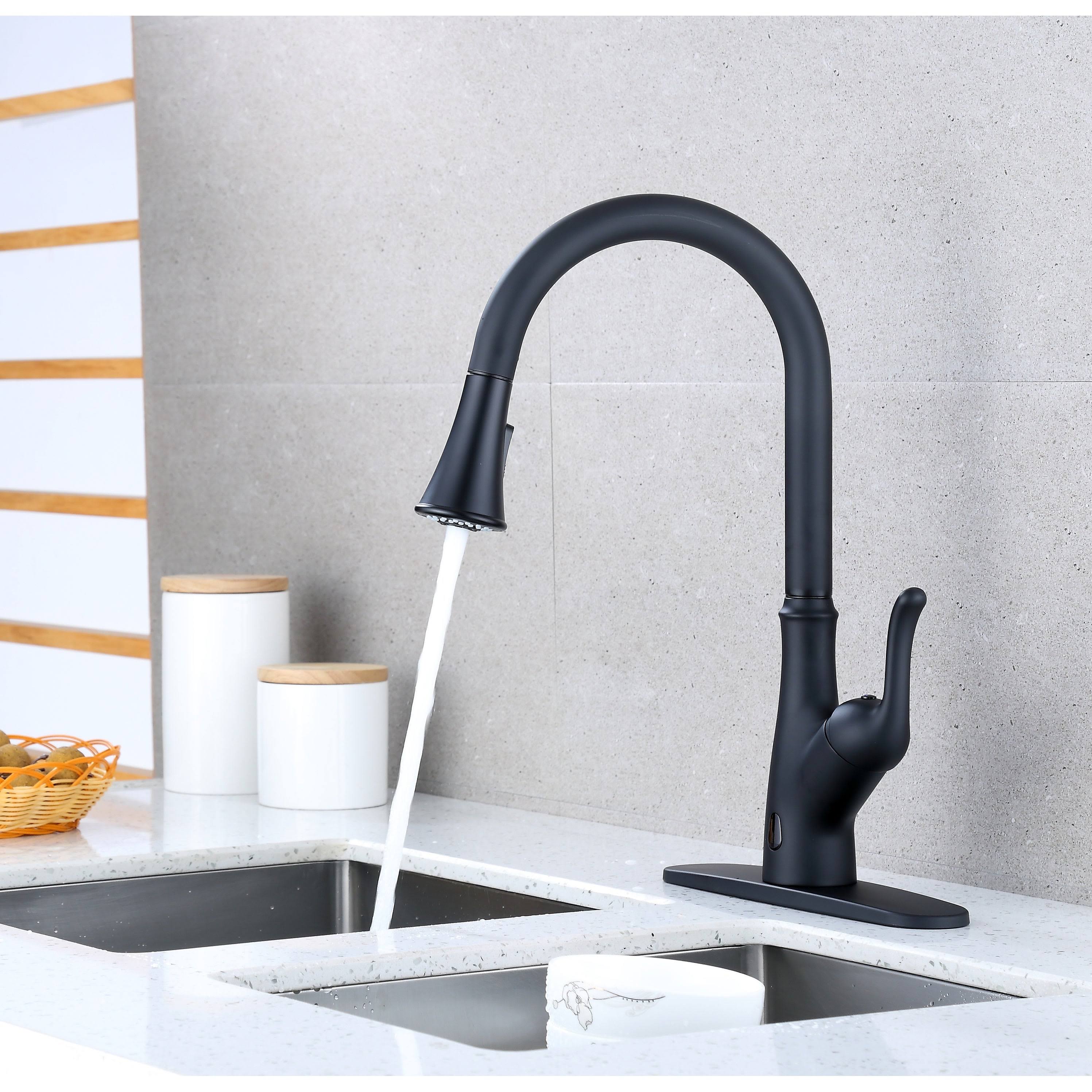 Runfine Group RF415014 Brisbane Pull Down Touchless Single Handle Kitchen Faucet Finish: Matte Black