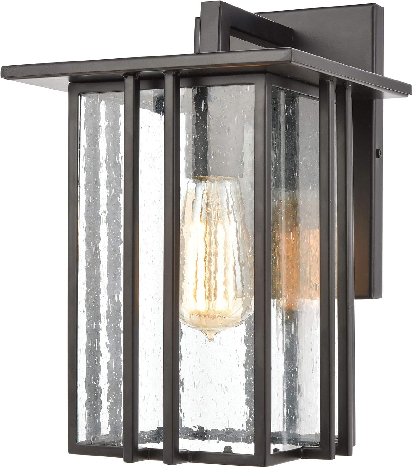 Elk Lighting 46691/1 Radnor 1-Light Matte Black with Seedy Glass Sconce
