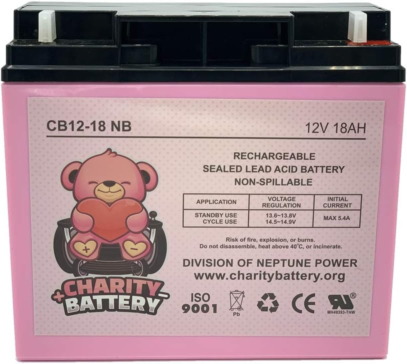 Charity Battery 12V 18AH Battery Sealed Lead Acid Rechargeable SLA AGM Batteries Replaces UB12180 FM12180 6fm18