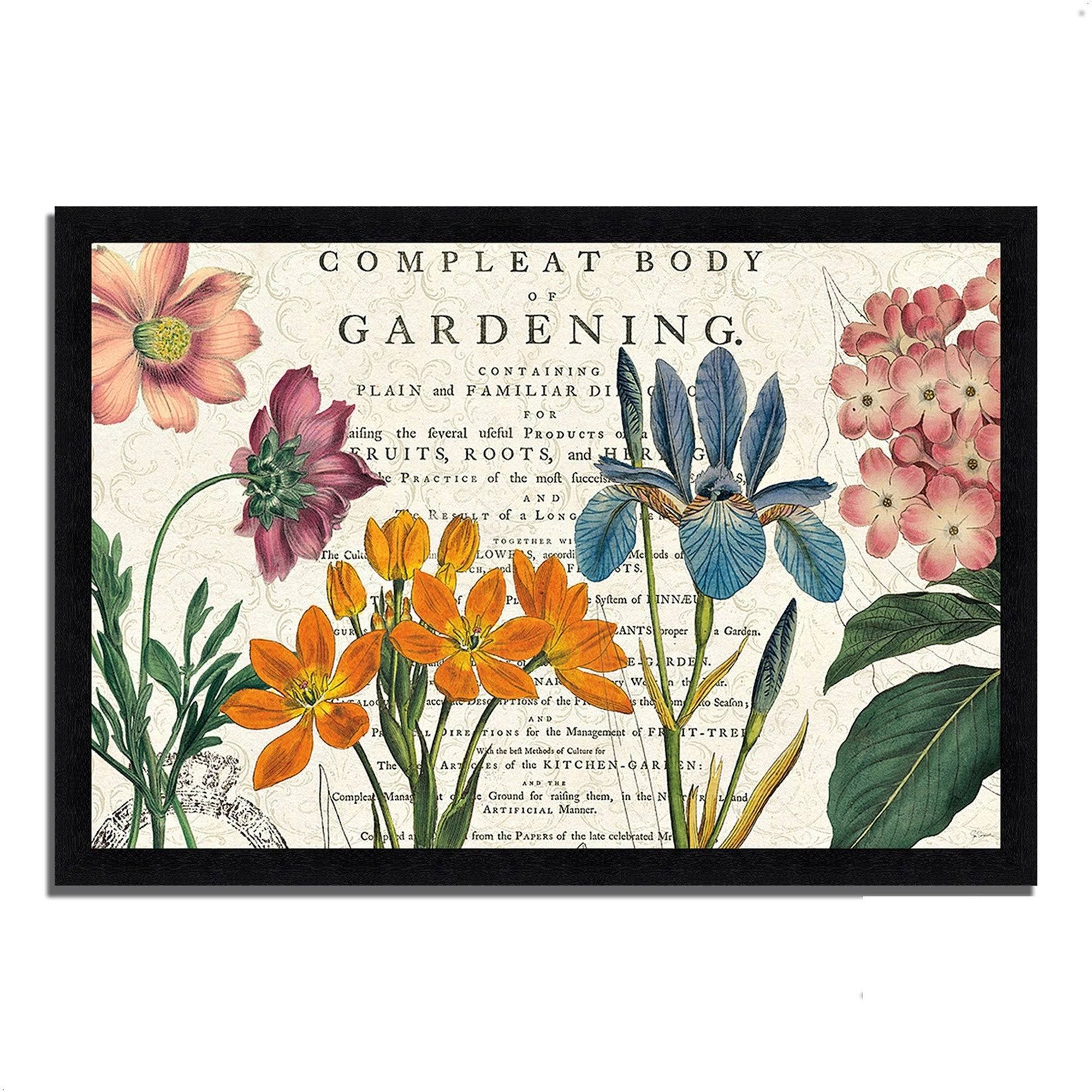 27x22 x 39x22 Botany by Sue Schlabach Framed Painting Print