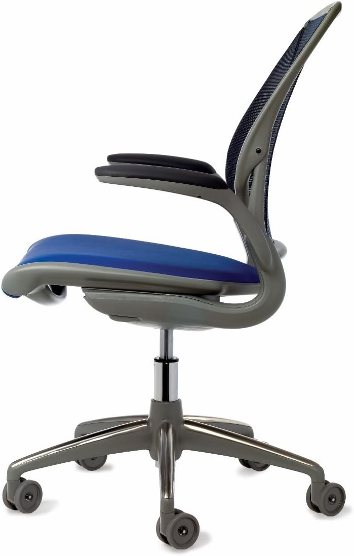 Humanscale Diffrient World Task Chair: Adjustable Duron Arms - Standard Height Cylinder - Standard Carpet Casters - Black Frame/Platinum Dash Seat