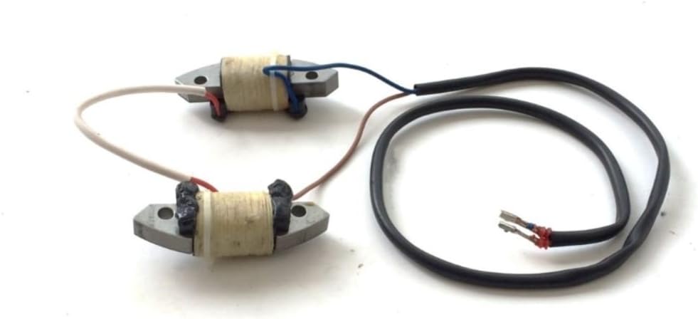 Boat Motor Exciter Charge Coil Assy 66T-85520-00-00 T40-05040007 For Yamaha Parsun Hidea Outboard 40HP T40 E40 40X M 2-stroke Engine Pack of 2