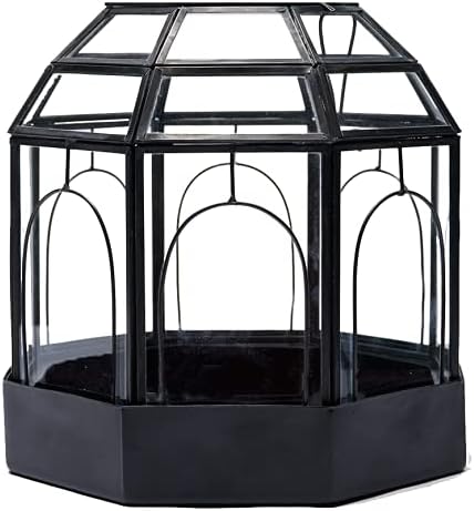 Urban Born - Metal Bottom Birdcage Terrarium, Handmade Glass and Steel Terrarium — 10