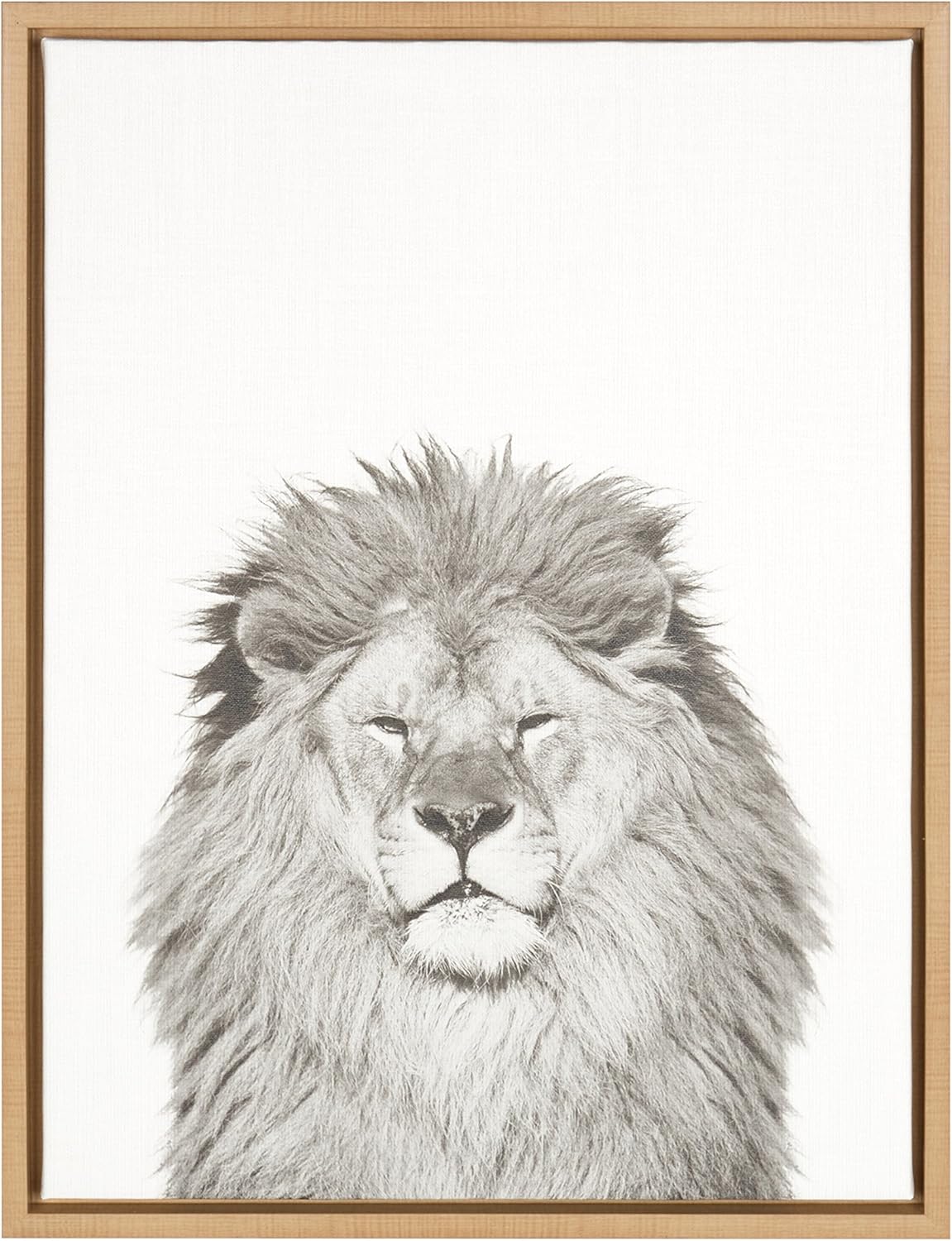 Kate and Laurel Sylvie Lion Framed Canvas by Simon Te Tai, 23x33, Gold Pack of 2