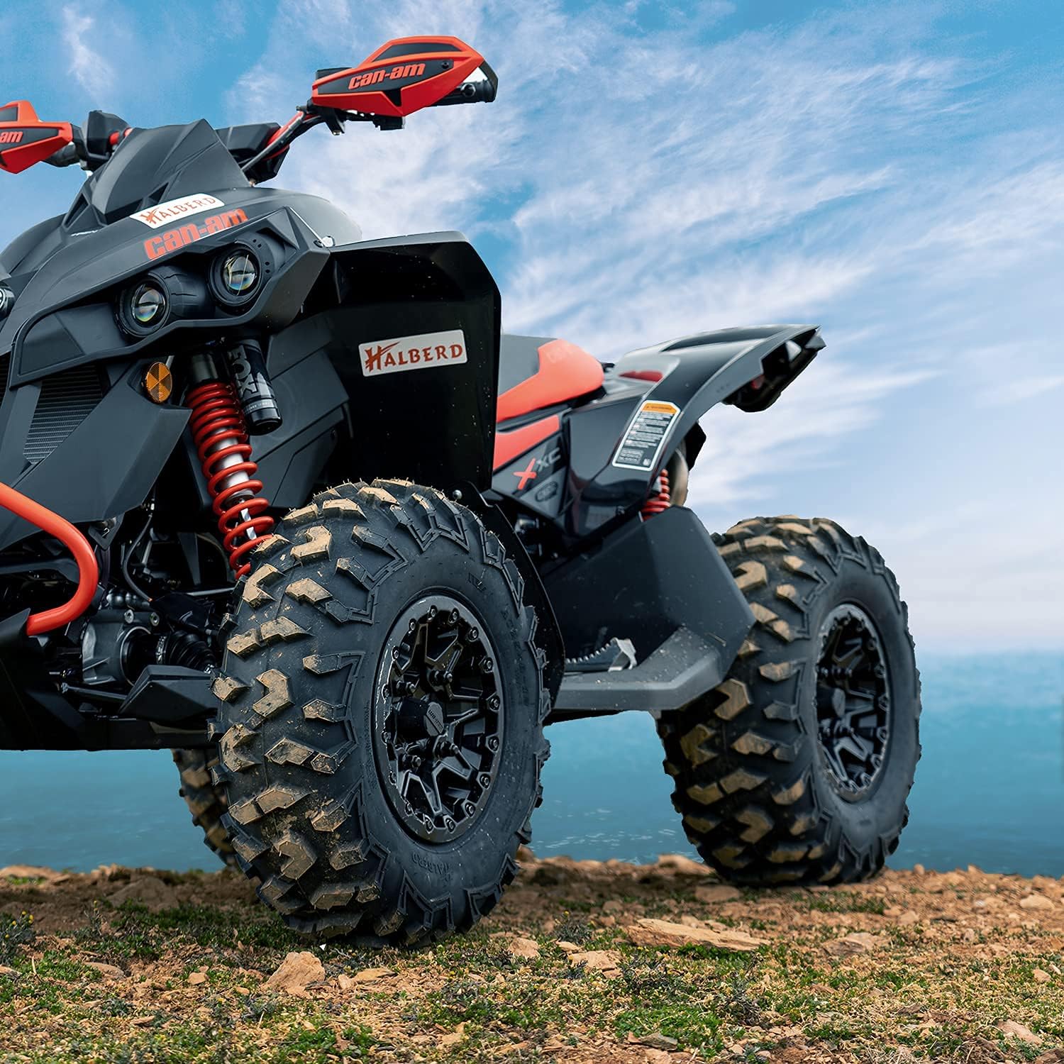 HALBERD 6PLY ATV Tires, 25x10-12 ATV Tires, 6PR All Terrain 25x10x12 Trail Sand ATV UTV Off-Road Tires | 17mm Tread Depth(Pack of 1, Tubeless)