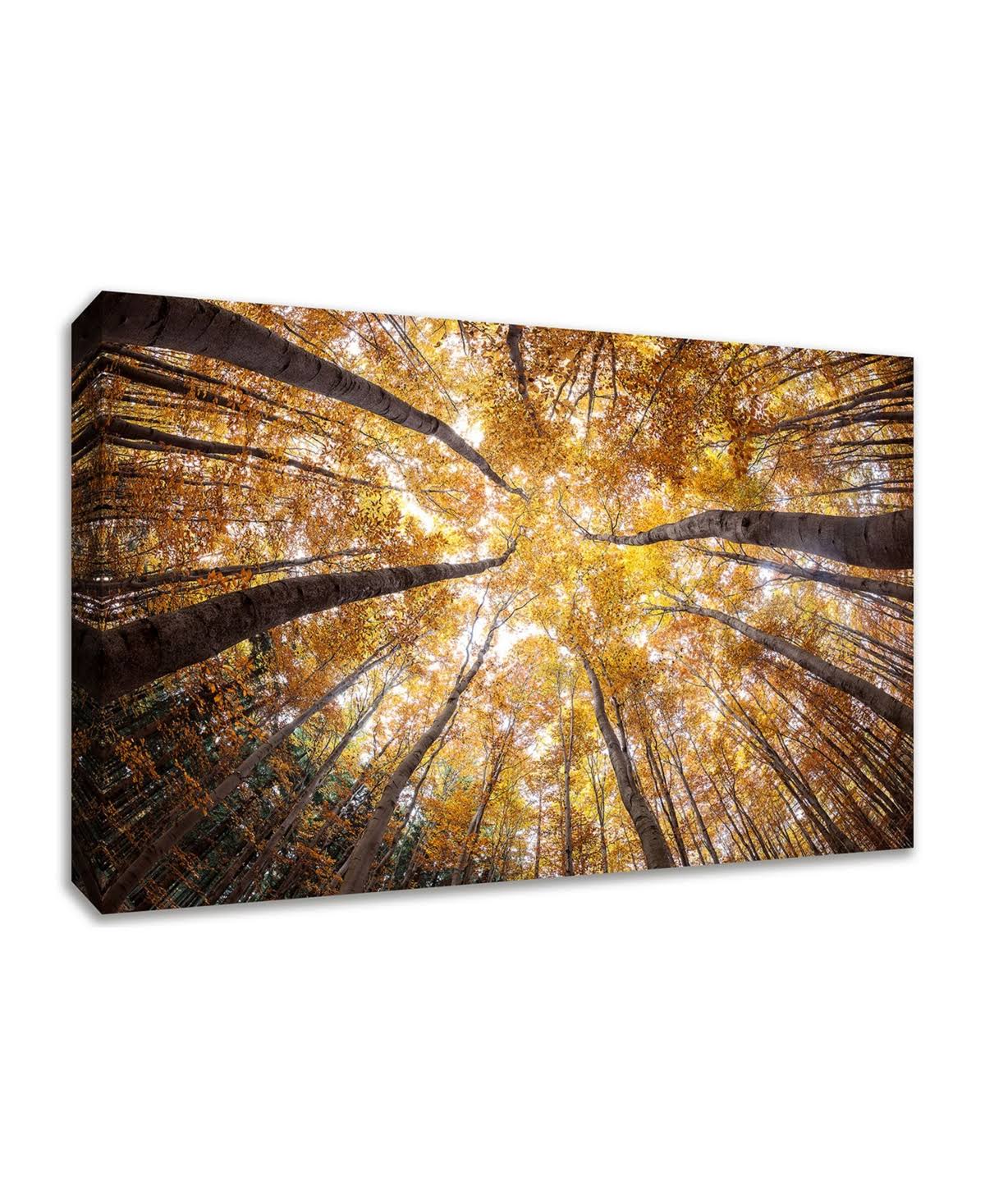 20x22 x 30x22 Reach for The Sky Fine Art Giclee Print