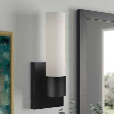 Sternberg 1 - Light Dimmable LED Vanity Light Finish: Black