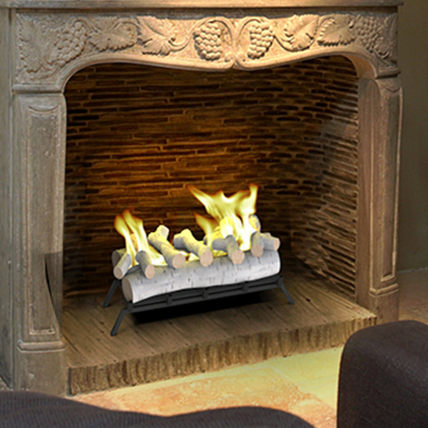 Regal Flame 24x22 Convert to Ethanol Fireplace Log Set with Burner Insert from Gel or GAS Logs (Birch)