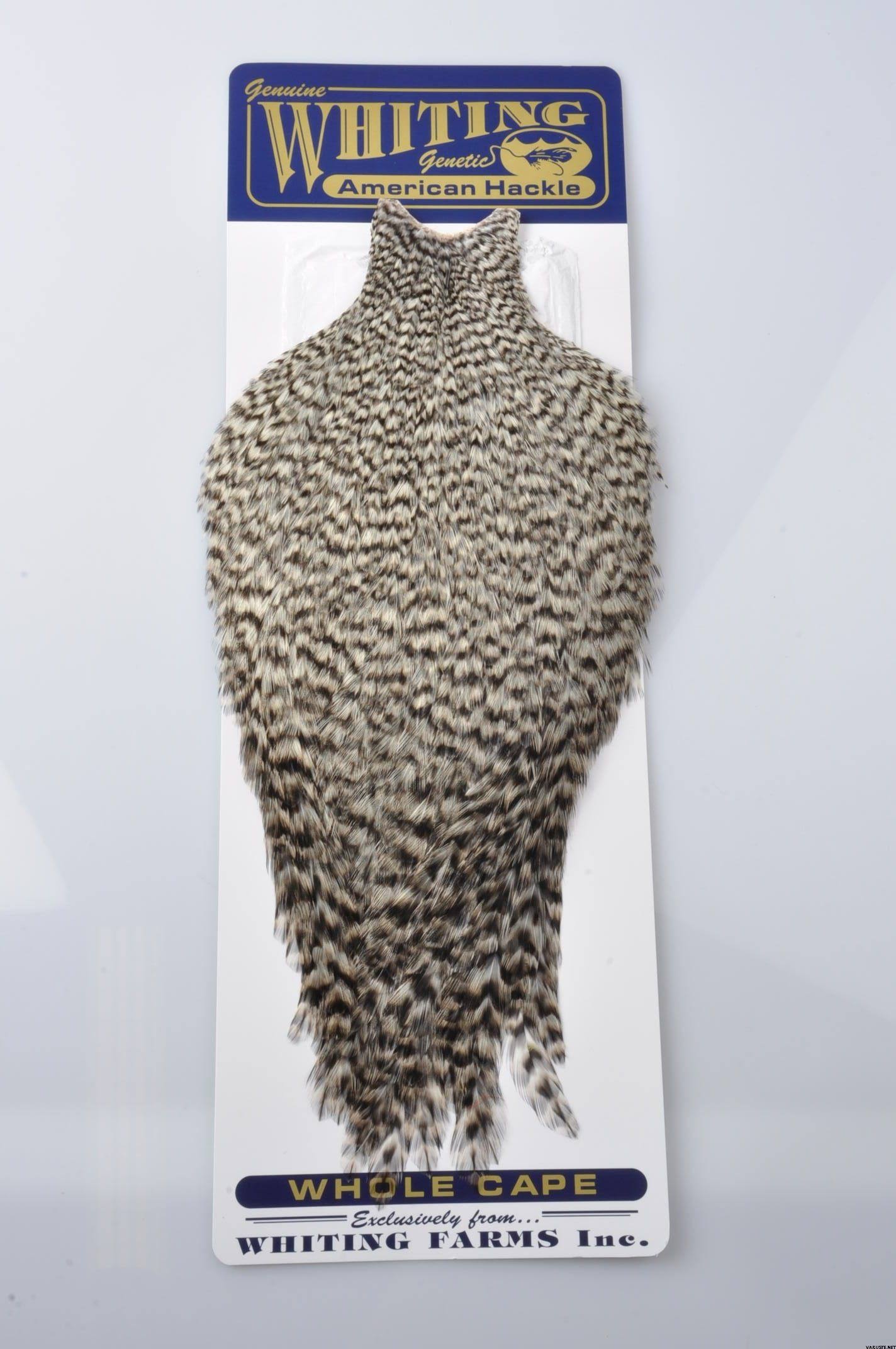 Whiting American Hackle - Cape Badger Orange