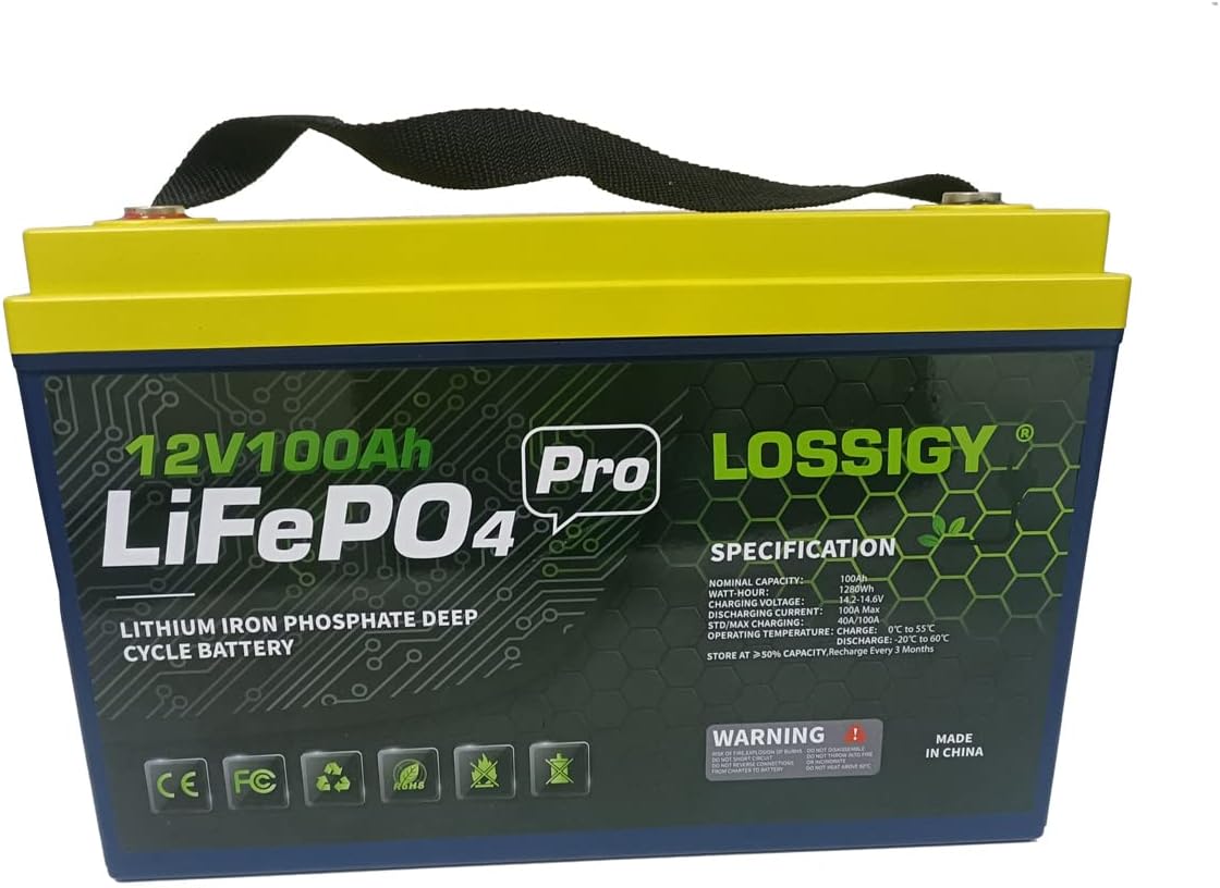 12V 100Ah LiFePO4 Deep Cycle Lithium Battery, over 4000 Cycles, Built-in 100 A BMS, Backup Power for RV, Marine, Off-Grid System, Runs dew heaters