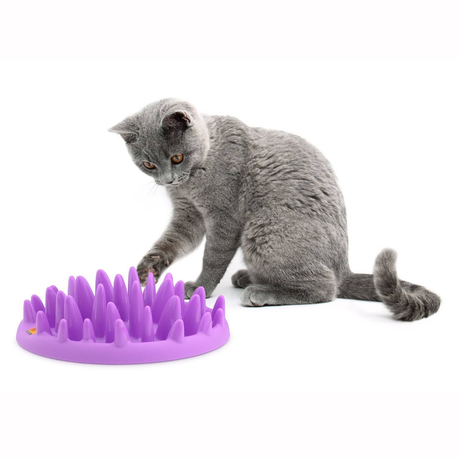 The Company of Animals Northmate Catch Interactive Feeder for Cats