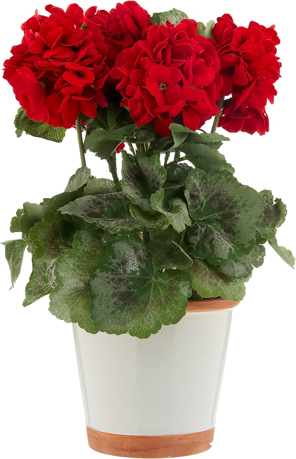 Nearly Natural 4691 Geranium Decorative Silk Plant, Red,10.25