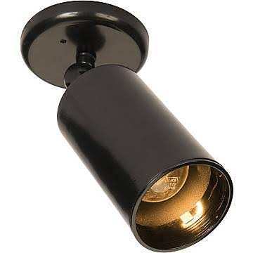 Maxim Lighting 1-Light Can Wall/Flush Mount; Black