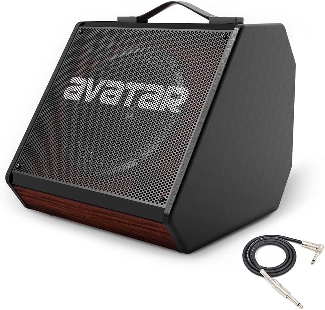 HXW DM30 Drum Amp 30 Watt Electric Percussion AMP Dual Channel Keyboard Amplifier for Home Practice