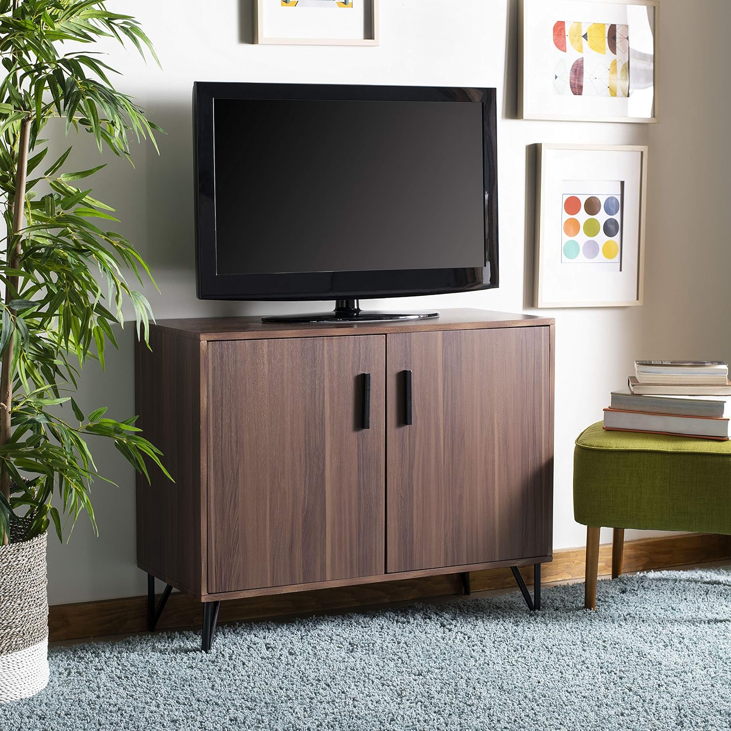 Safavieh Home Pine Modern Dark Oak and Black 2-door TV Unit