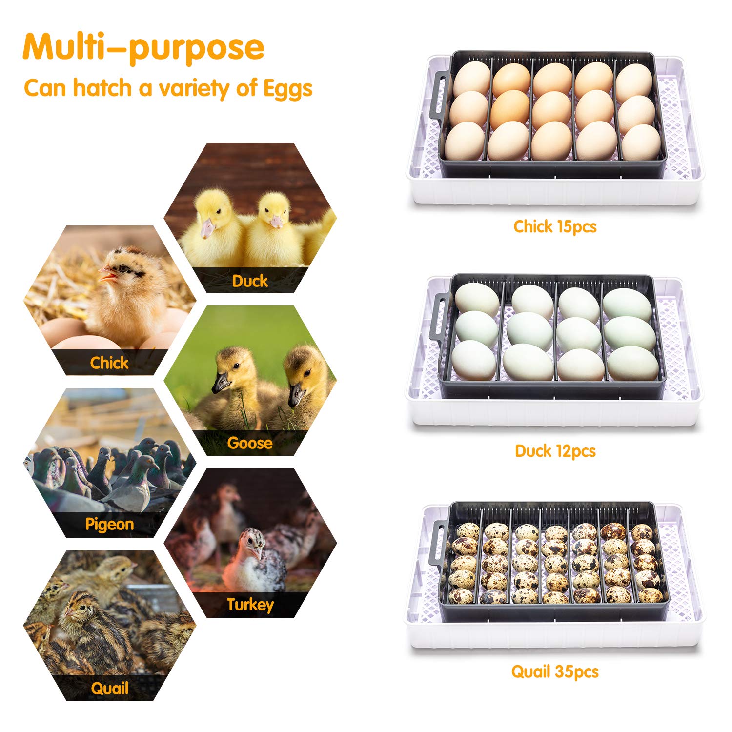 Apdo Egg Incubator, 9-35 Eggs Fully Automatic Poultry Hatcher Machine, Led Candler Automatic Egg Turner Temperature Control, Chicken Incubators for Hatching Eggs, Chicken Quail Duck Goose Turkey