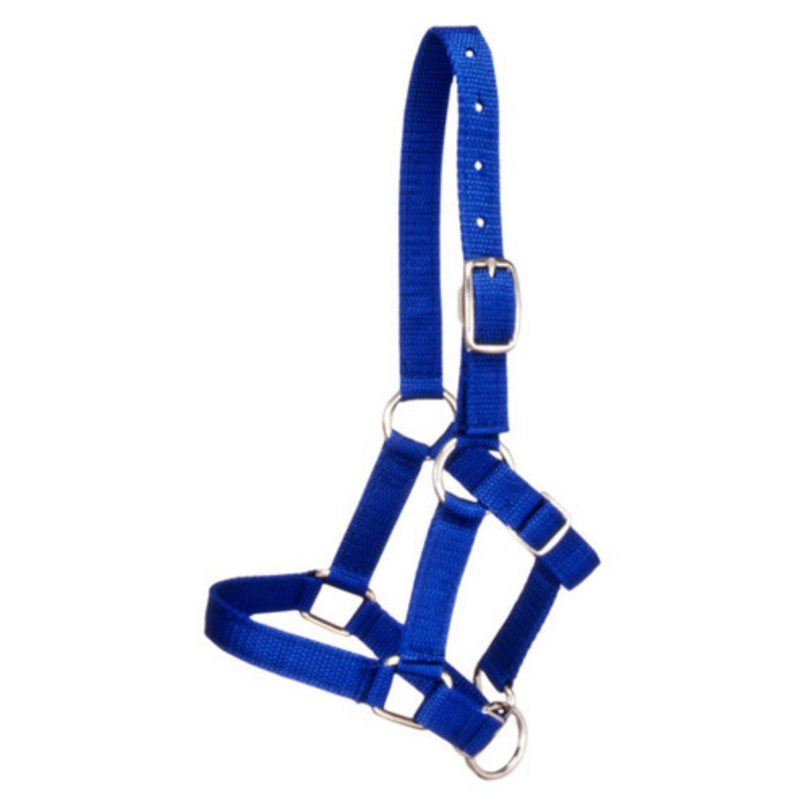 Tough-1 Miniature Nylon Halter - 12 Pack