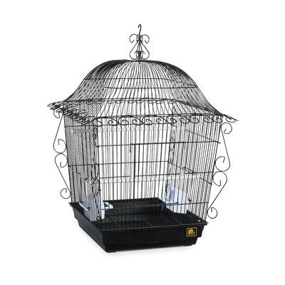 Bressler Tiel Scrollwork Bird Cage Tucker Murphy Pet Color: Black