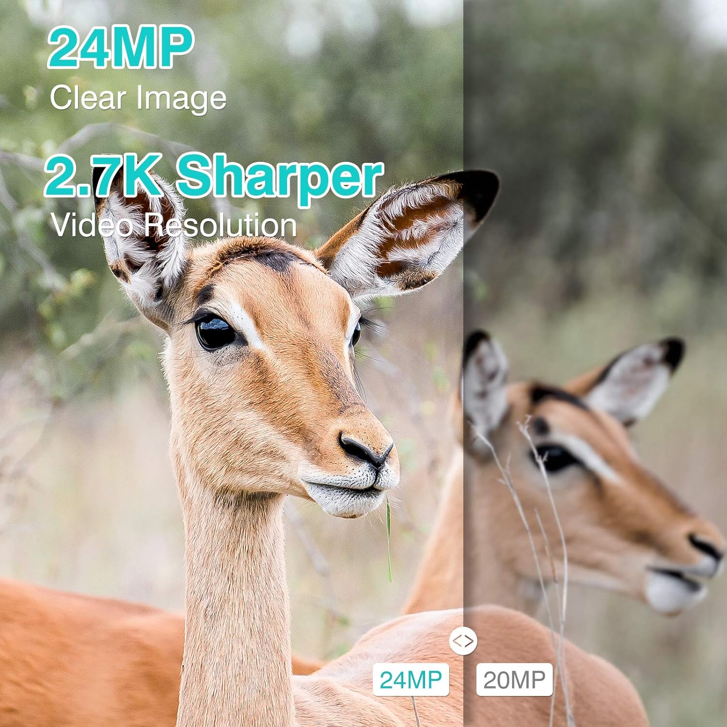 2.7K 24MP Trail Camera, Hunting Camera with 32 GB Card Game Camera with Night Vision Motion Activated Waterproof Trail Cam 80Ft Detection Distance with 36 IR LEDs for Wildlife Pack of 2