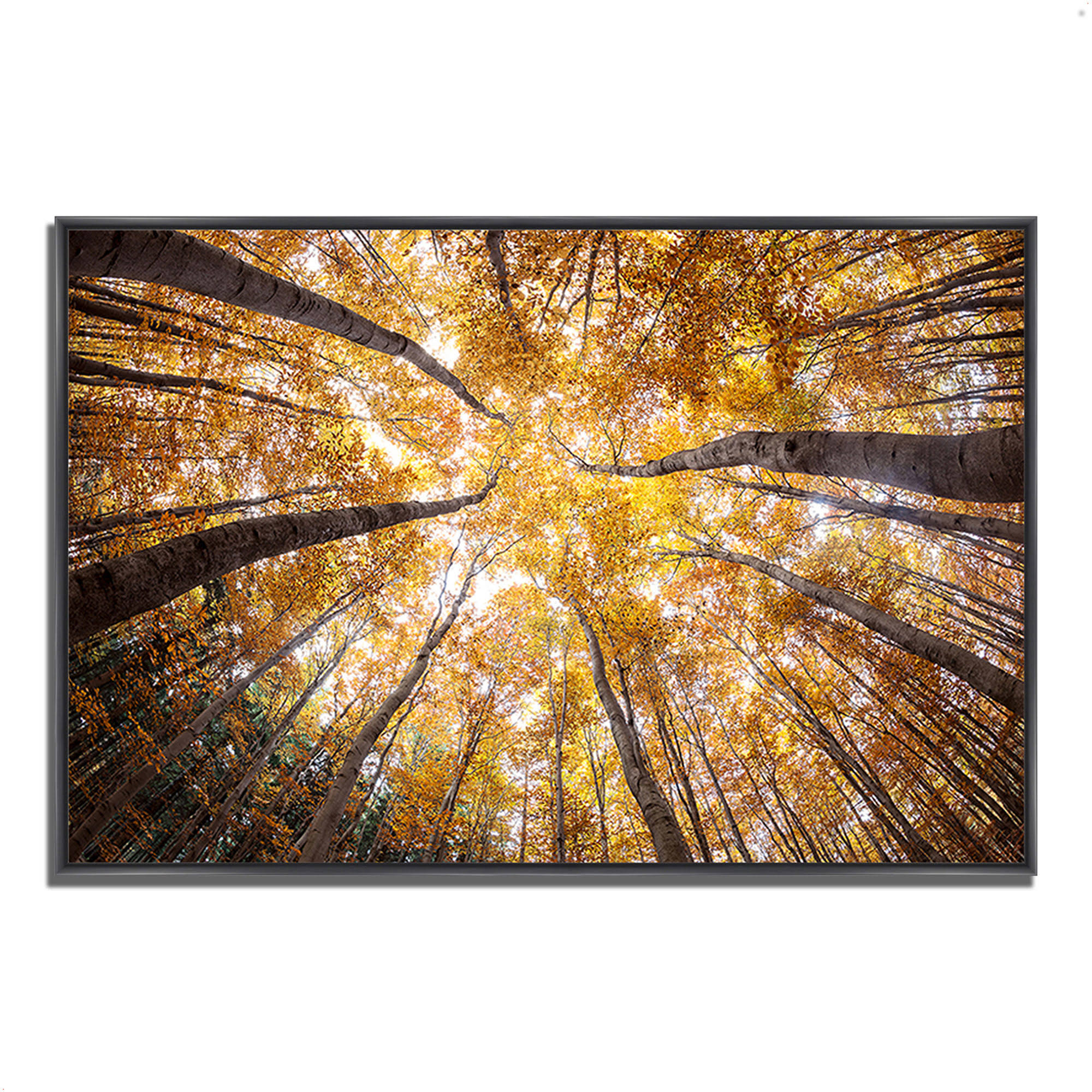 Tangletown Fine Art 'Reach for The Sky' Framed Photographic Print, Gold