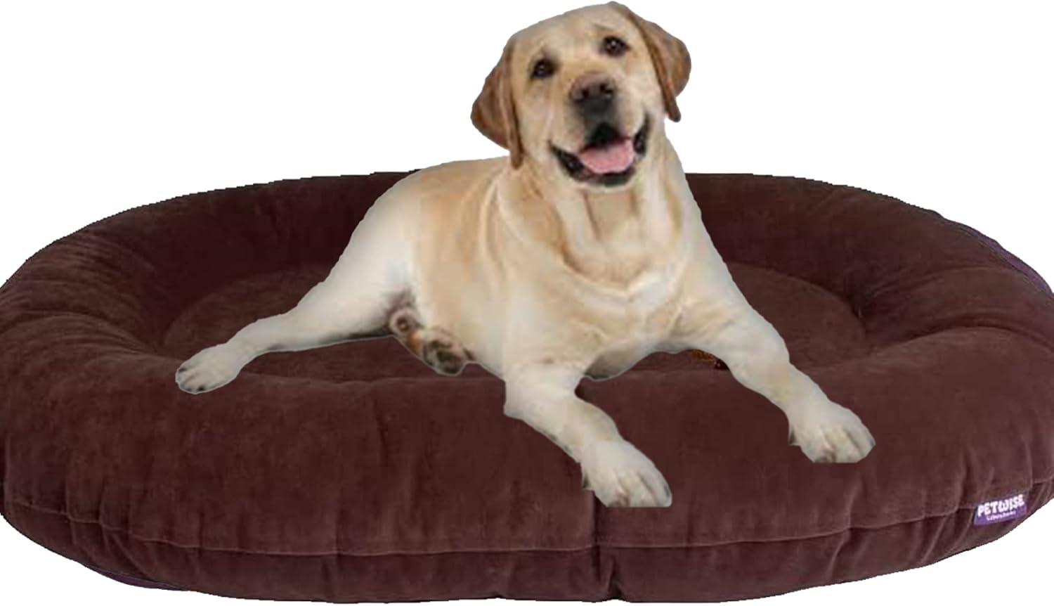 Petwise International - Oval Shaped Dog Bed - Eco-Friendly Sertex Velvet Fabric - Cold Water Machine Washable (Small - (32in x 24in), Purple)