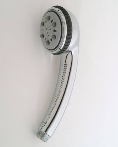 Jaclo S428-PG Serena Handshower with Nebulizing Mist