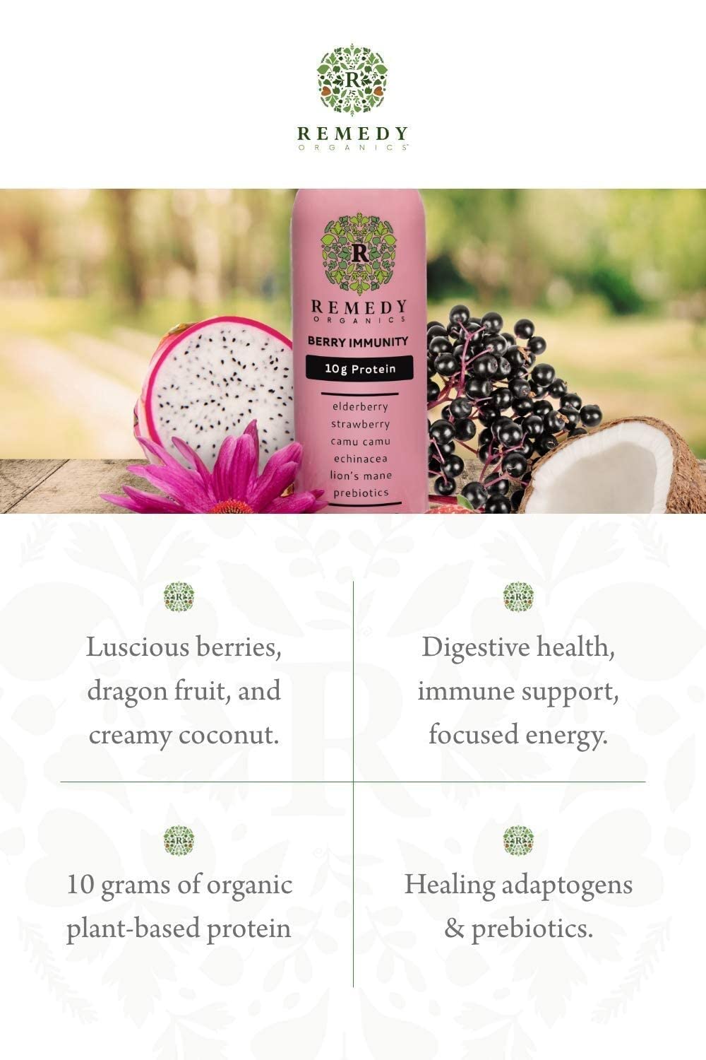 Remedy Organics Assortment Case 10-Pack | Plant Based Protein Shakes, Ready to Drink | USDA Organic, Gluten Free, Dairy Free, Soy Free Pack of 2