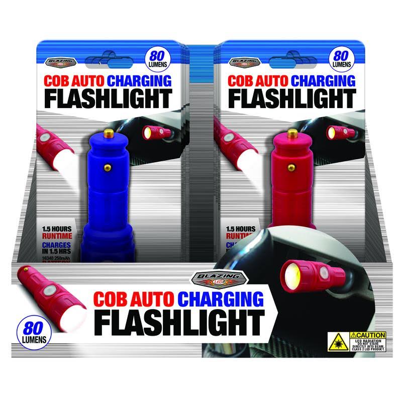 Shawshank Ledz 9039845 12V Ledz LED Rechargeable Flashlight - Pack of 12