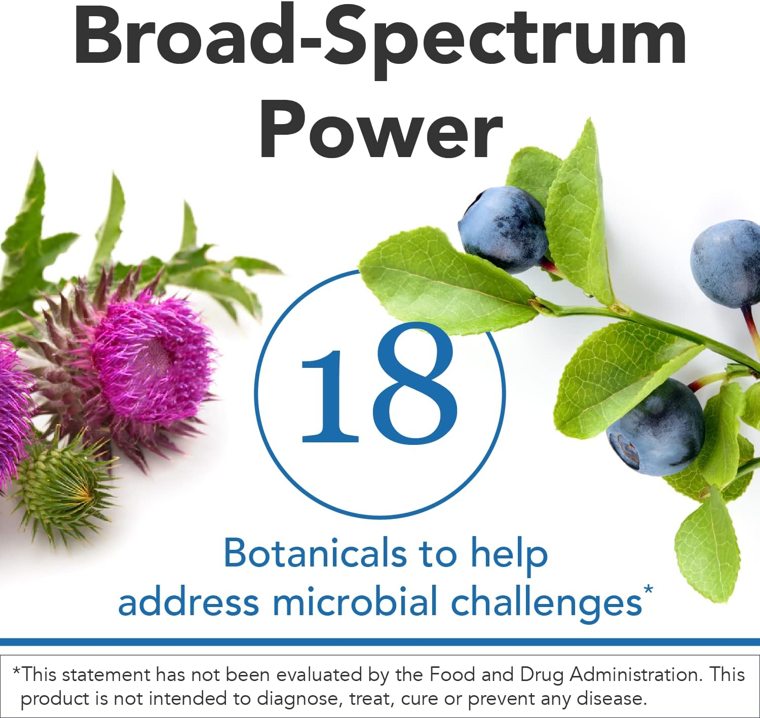 Biocidin Liquid Formula - Support GI Detox & Healthy Digestion - Herbal Intestinal Support Supplement with Gentian, Black Walnut, Garlic & More (1 oz) Pack of 2