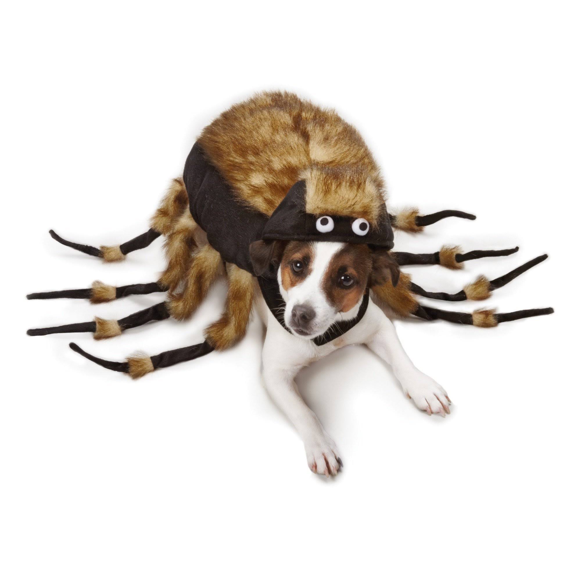 Zack u0026 Zoey Fuzzy Tarantula Costume Large