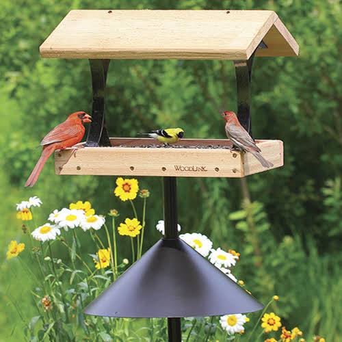 Squirrel Proof Platform Package