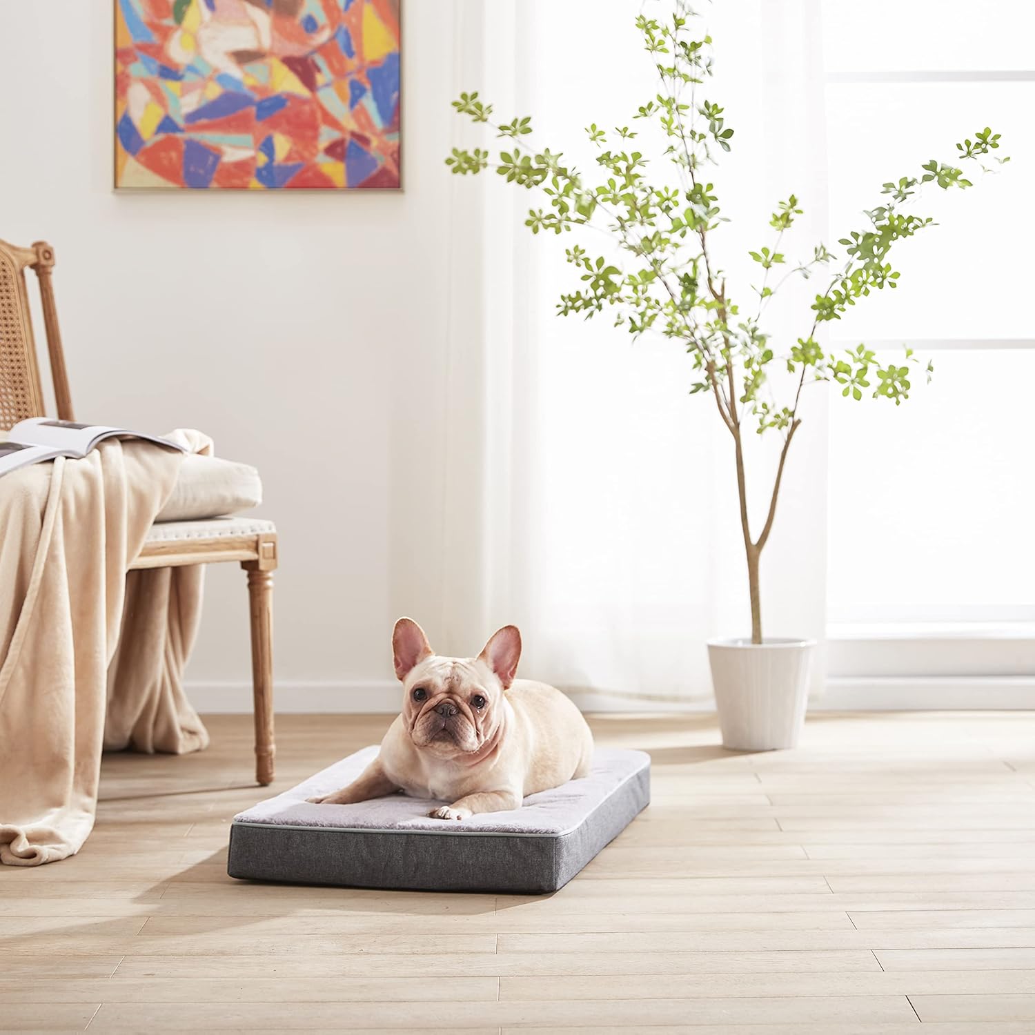 GOHOO PET Orthopedic Memory Foam Dog Bed, Cooling Dog Beds for Medium Dogs -Waterproof Pet Bed for Crate with Removable Washable Cover, Purple Rabbit Plush Surface