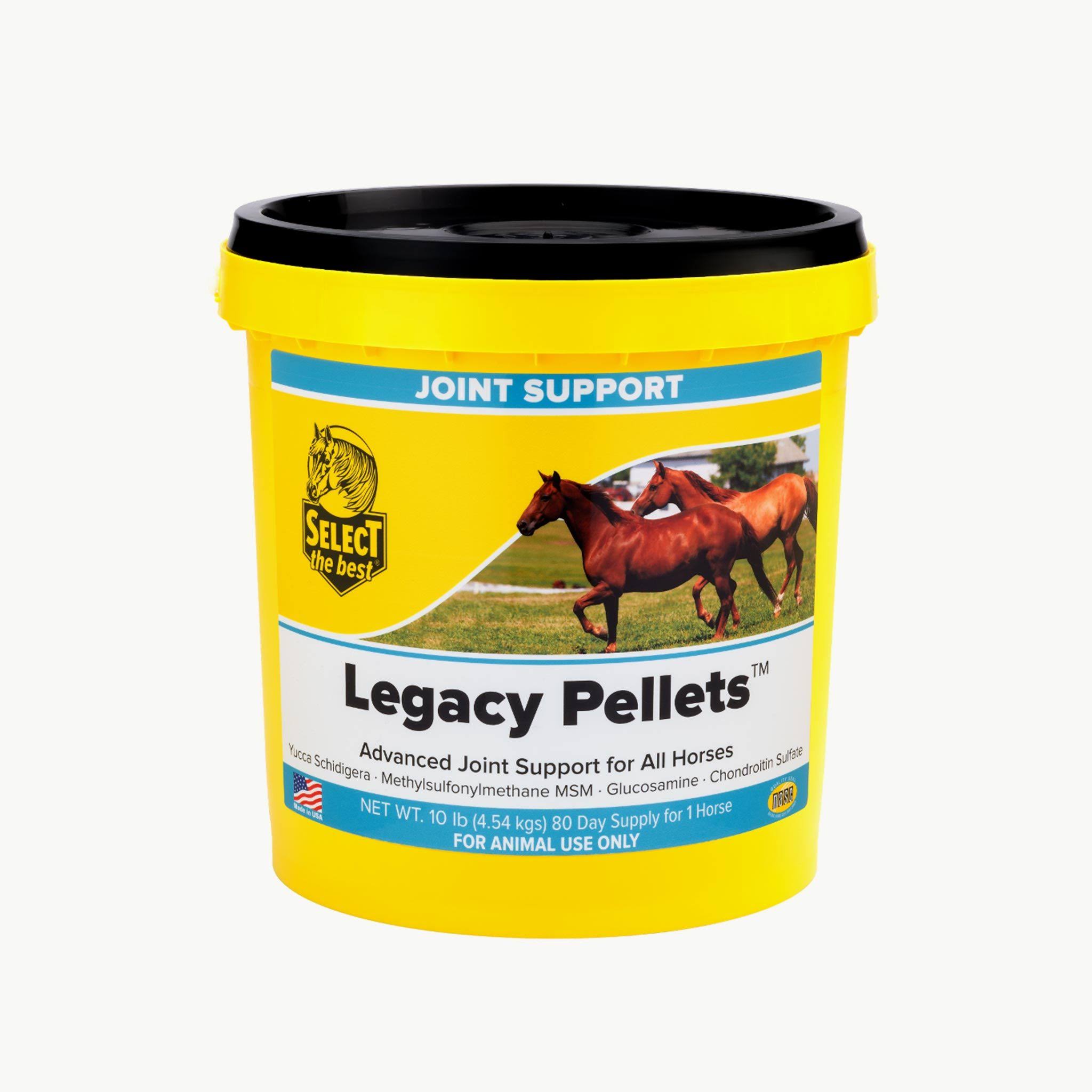 Richdel Legacy Pellets Joint Support for Senior Horses 10 Pound
