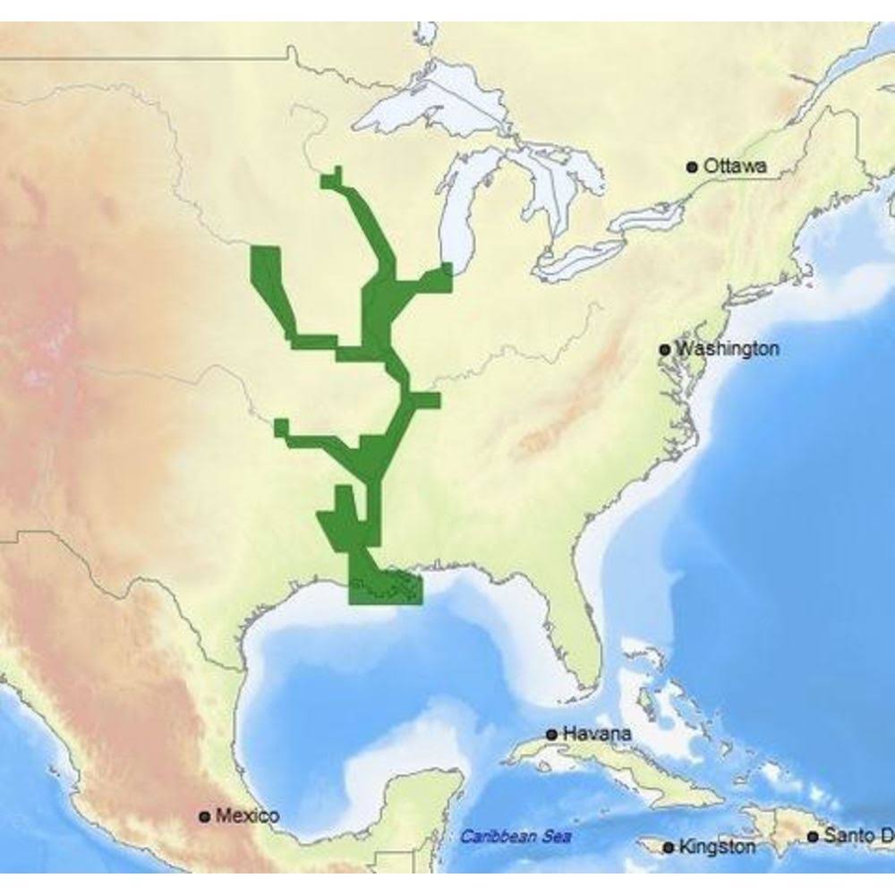 C-MAP M-NA-D038 4D microSD US Rivers MS, Red, AR Ouachita, IL, Mo