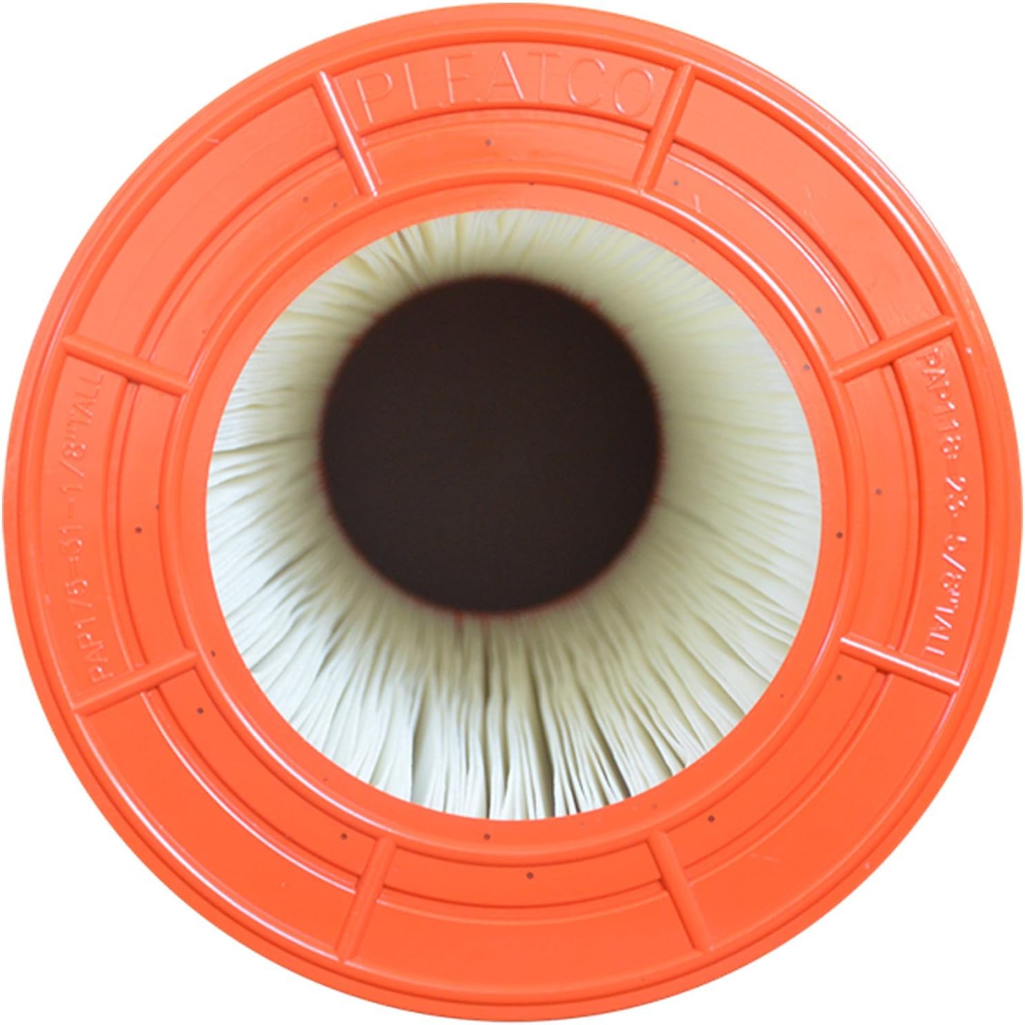 Pleatco PAP200-4 Replacement Cartridge for Predator 200 - Pentair Clean and Clear 200, 1 Cartridge Pack of 2