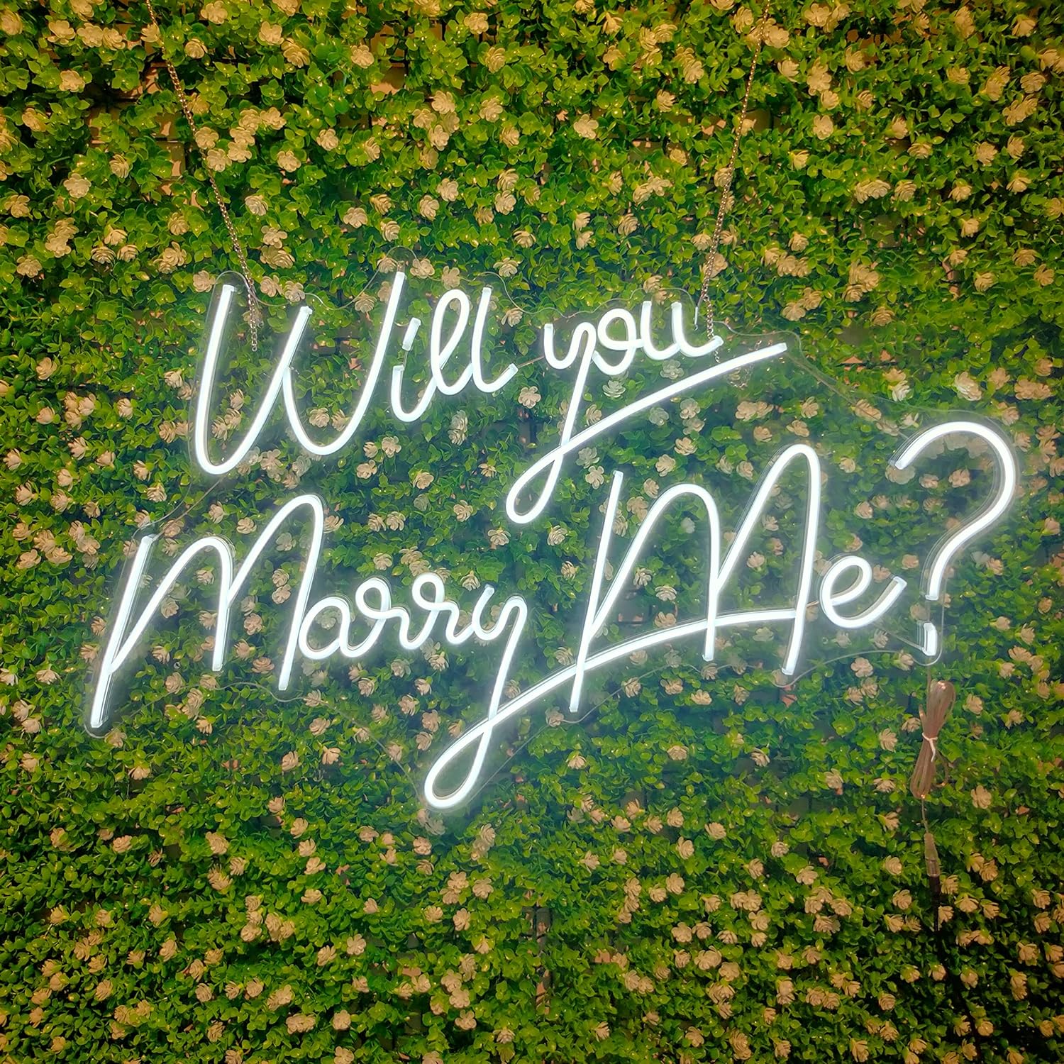Will You Marry Me? Neon Sign-Transparent Acrylic with Dimmer Flex Lights Signs Indoor Bedroom Decor Wall LED Neon Signs Bar Christmas Party Wedding Girl Boy Living Room Office White