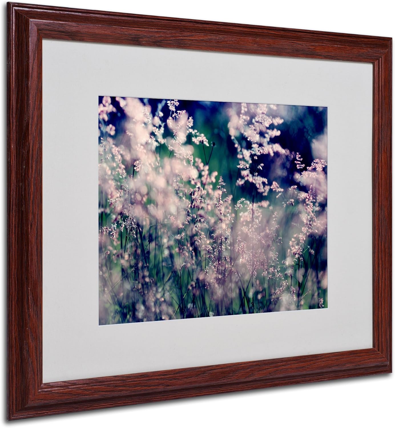 Sweet Emotions Artwork by Beata Czyzowska Young, 16 by 20-Inch, Wood Frame Pack of 2