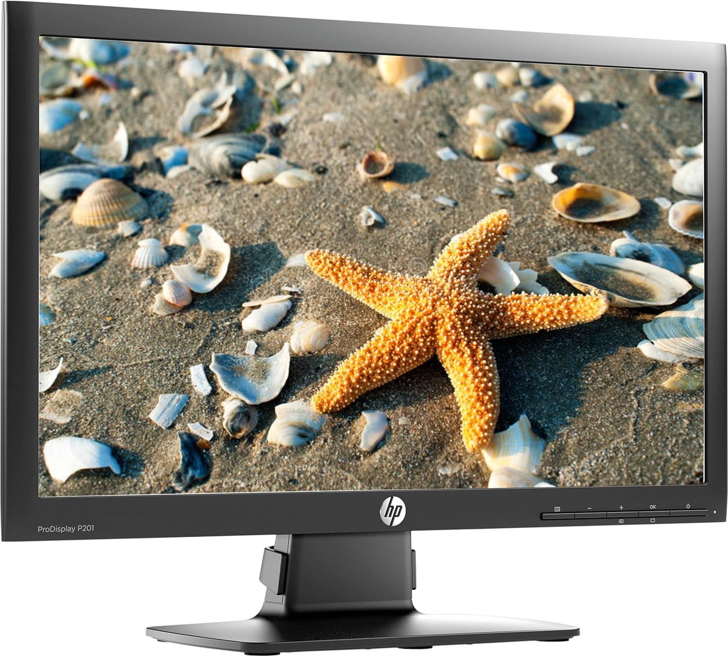 HP P201 LED-Backlit 20 Inch Monitor, Resolution (1600x900), VGA Port and DVI, 16.7 Million Colors, 170 Degree Viewing Angle, 5ms Respond Time (Renewed), Black
