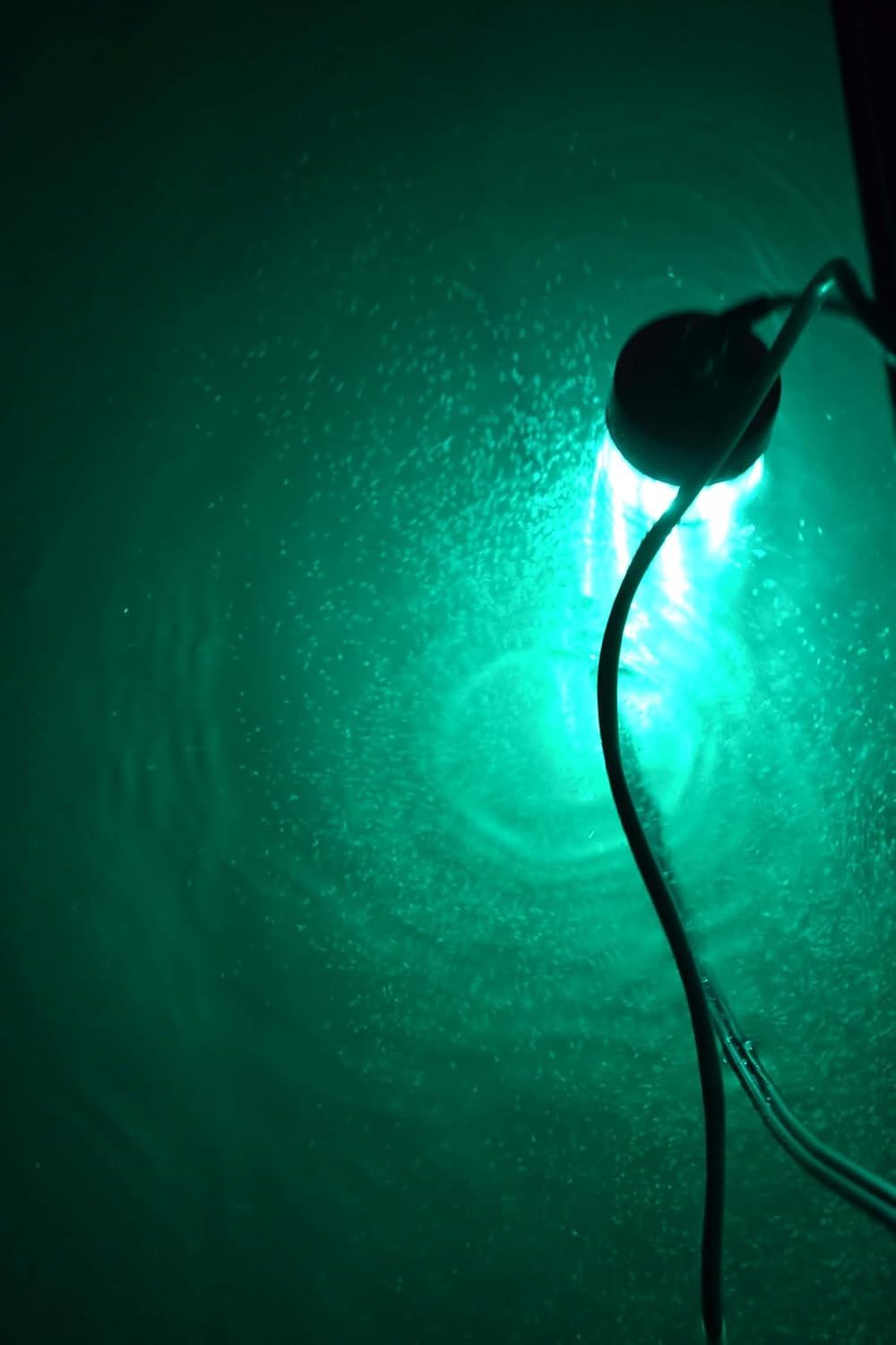 Bright Night Fishing 15,000 Lumen 50 ft Cord Waterproof AC Underwater Fishing Light Green LED Submersible Dock Light