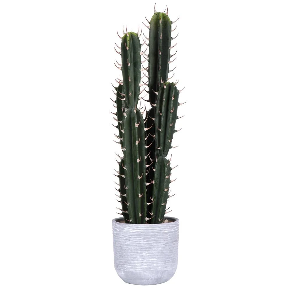 Vickerman Fh181101 27.5x22 Green Cactus in Concrete Pot