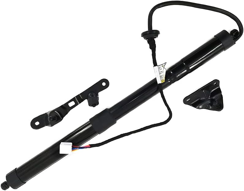 Rear Right Tailgate Hatch Lift Supports Shock Struts Replacement for Toyo-ta RAV4 2013-2018 Trunk Lift Strut 6891009110 6891009010 6891009011