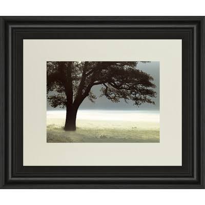 Classy Art Wholesalers Enlighten Me by Assaf Frank Framed Photographic Print, Black