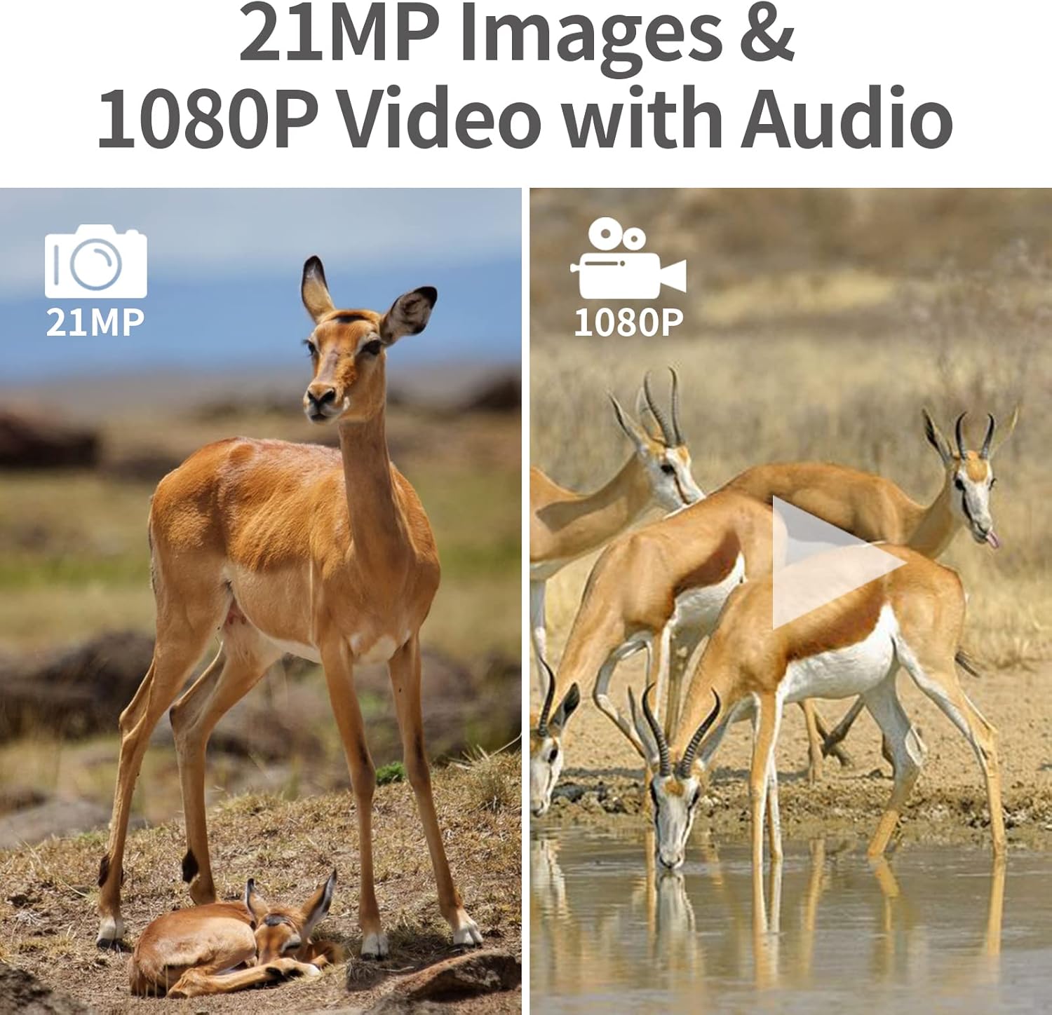 JVAXS Trail Camera 21MP 1080P - Game Hunting Camera with IR Night Vision Motion Activated Waterproof 120&deg;Detecting Range, Infrared Outdoor Cam Wildlife Monitoring Deer Scouting 0.2s Trigger Speed