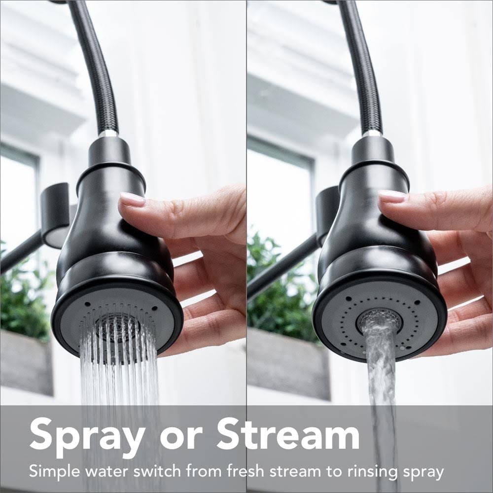 Ez-flo Kitchen Series Single-Handle Spring-Style Pull-Down Sprayer Kitchen Faucet in Matte Black 10043