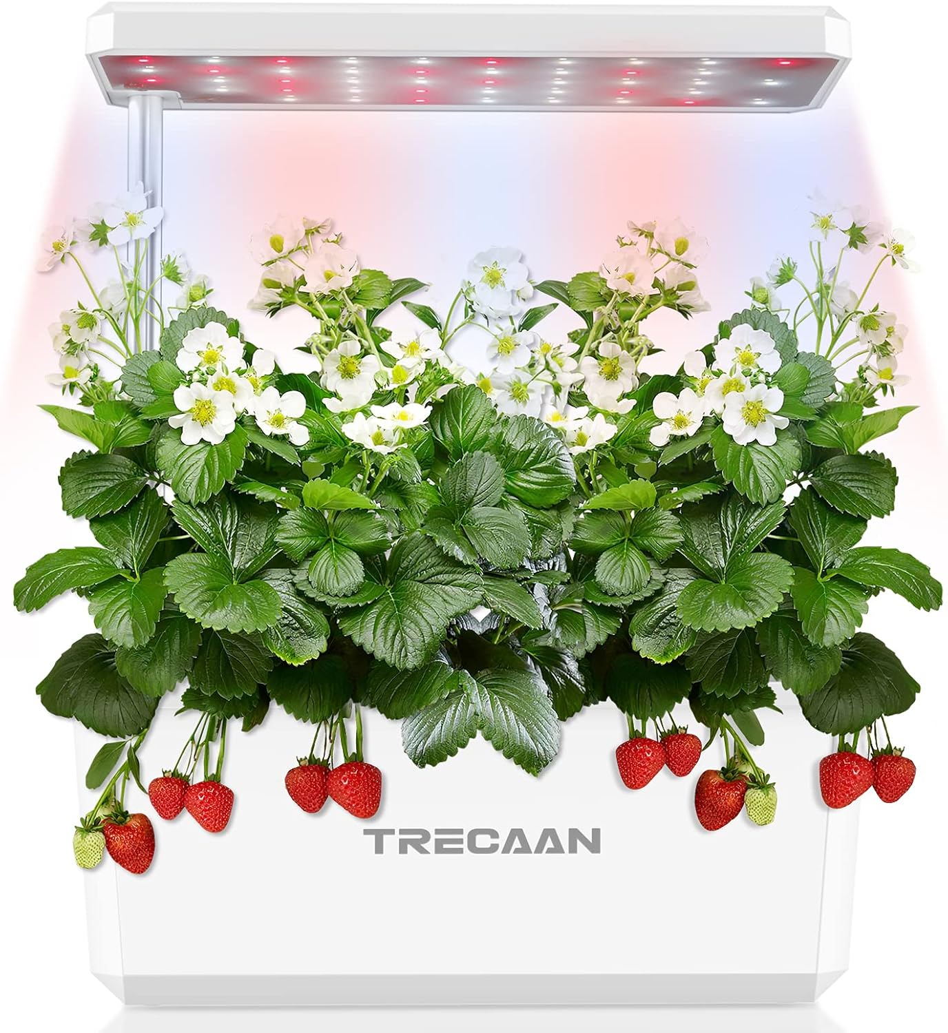 Hydroponics Growing System,Trecaan Indoor Gardening System with 6 Pods Smart Plant Growing Kit with Pump Black Pack of 2