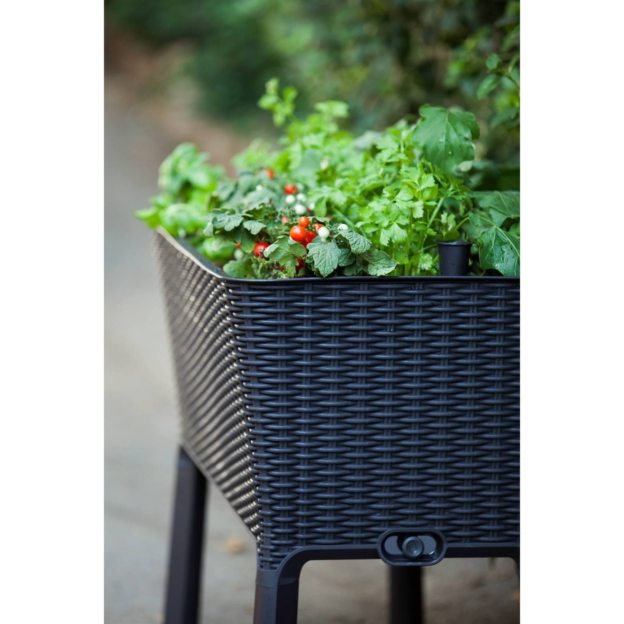 Keter Easy Grow Elevated Garden Bed - Anthracite