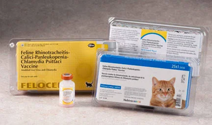 4-Way Nobivac Feline 1-HCPCh (Box of 25 Doses)