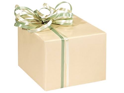 NAS Pack of 1, 24x22 x 85& Ivory Solid Gloss Color Gift Wrap Paper Roll for 40-50 Gifts Made in USA - Multicolor