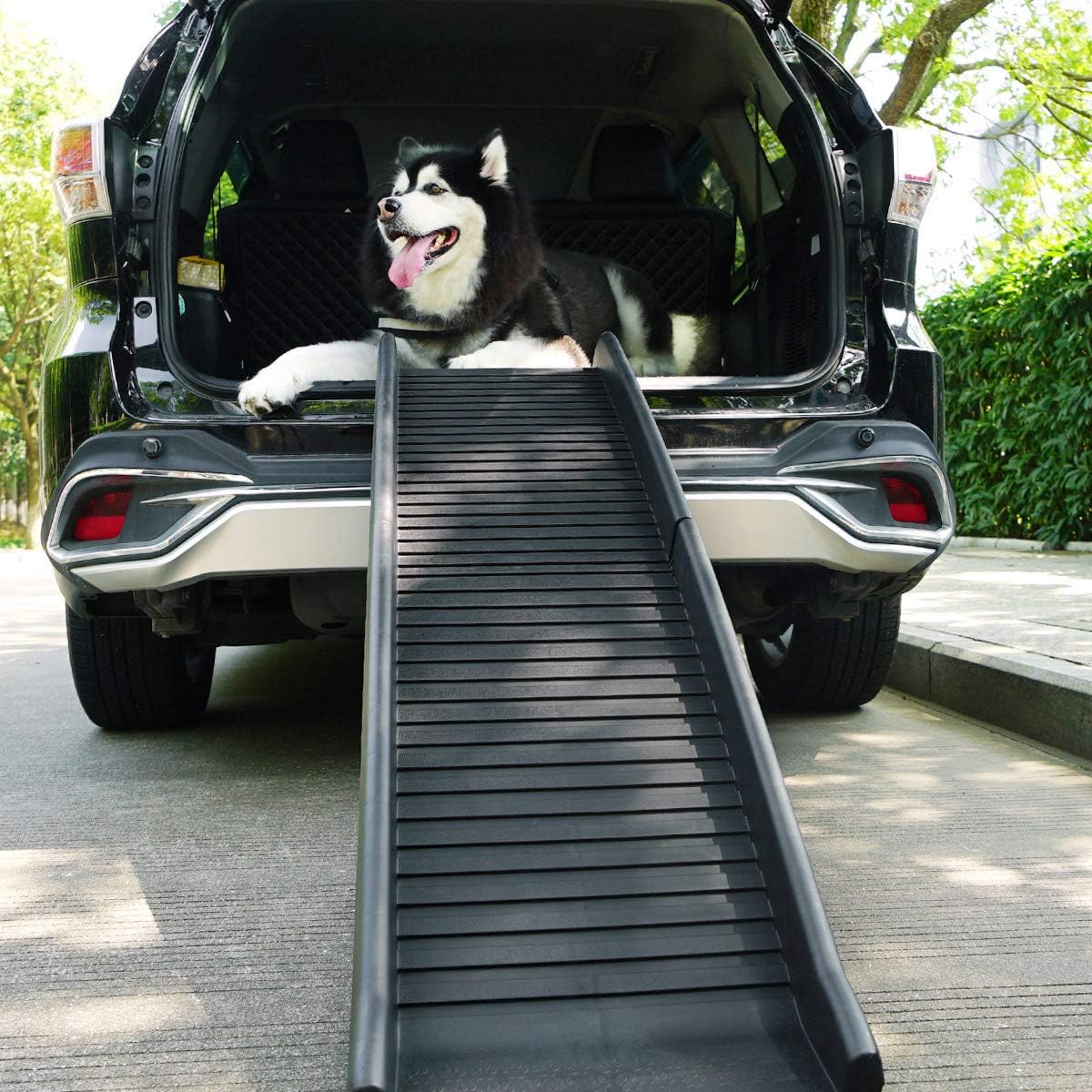 Sandinrayli Folding Pet Dog Ramp SUV and Car Ladder Stairs for Puppy Old Dogs Arthritis Joint Pain Portable Lightweight Dog and Cat Ramp, Durable Pet Ramp Supports up to 165lb, Black Pack of 2